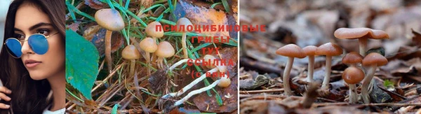 jwh Покровск