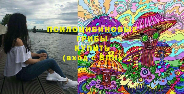 мдпв Балахна