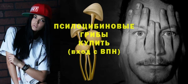 ПСИЛОЦИБИНОВЫЕ ГРИБЫ Покачи